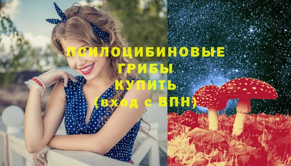 MESCALINE Осинники