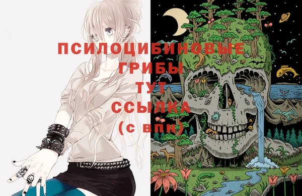 ешки Остров
