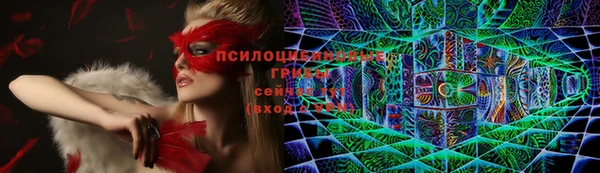 мет Осташков