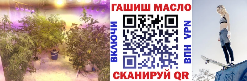 ТГК THC oil  наркота  Сорск 