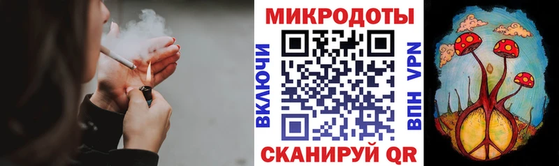 hydra вход  Сорск  Галлюциногенные грибы Psilocybe 